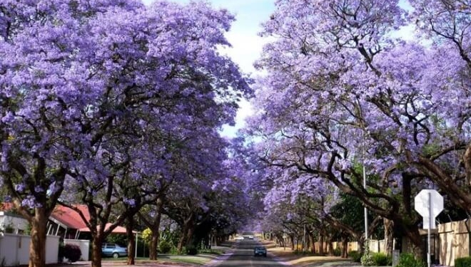 У Тернополі очікують на “вибух”