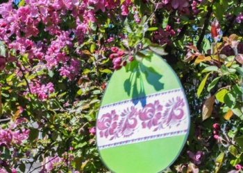 У центрі Тернополя душа радіє від побаченого (фото)