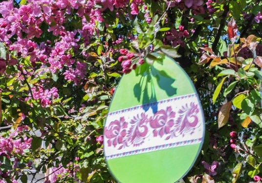 У центрі Тернополя душа радіє від побаченого (фото)