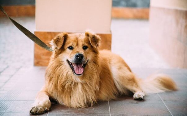 Він був такий побитий, що ледь тримався…, – як у Тернополі рятували чуже життя