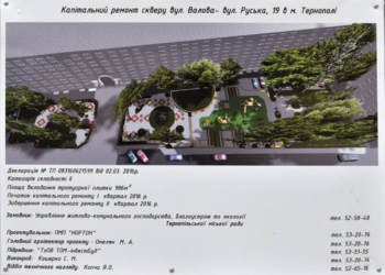 Бруківка-вишиванка з’явиться у центрі Тернополя (фото)