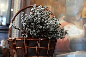 Сьогодні відзначають Вербну неділю