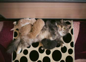 Тернополянка Іра від смерті врятувала трьох (фото)