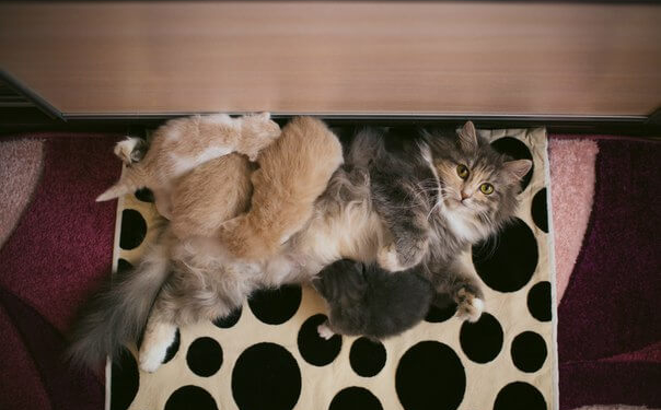 Тернополянка Іра від смерті врятувала трьох (фото)