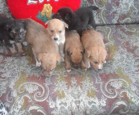 У Тернополі незвичний бебі-бум