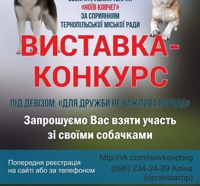 У Тернополі хизуватимуться собаками
