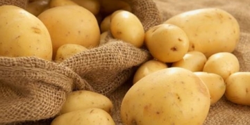 Біля Тернополя готуватимуть “військовий наркотик”