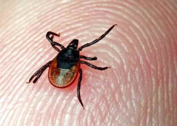 Тернополян просять остерігатися, бо за пару днів можна стати інвалідом