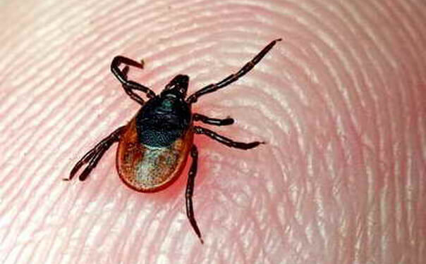 Тернополян просять остерігатися, бо за пару днів можна стати інвалідом