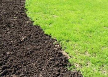 На жителях Тернопільщини заробили майже мільйон