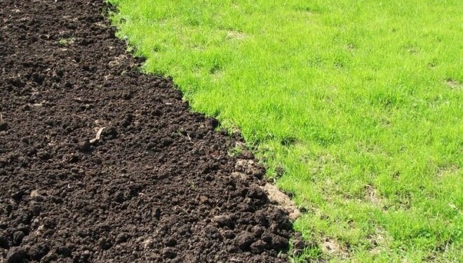 На жителях Тернопільщини заробили майже мільйон