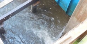 На Тернопільщині люди б’ють на сполох: пересихає ріка