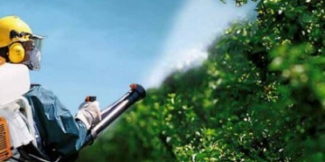 Страшна новина сколихнула жителів містечка на Тернопільщині