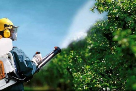 Страшна новина сколихнула жителів містечка на Тернопільщині