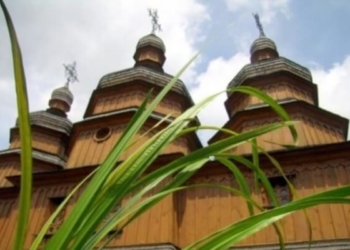 Церква закликає прикрашати домівки на Зелені свята квітами, а не гіллям з дерев