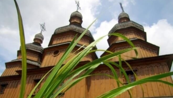 Церква закликає прикрашати домівки на Зелені свята квітами, а не гіллям з дерев
