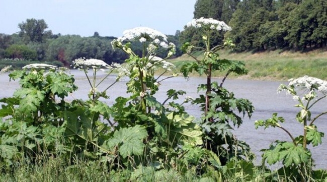 Небезпека чатує на людей у межах Тернопільщини