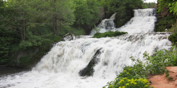 Чиновники Тернопільщини хочуть “зробити чудо”