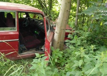 П’яний з Тернополя сам собі наробив біди