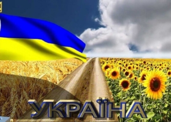 Три коледжі Тернополя тепер повинні…