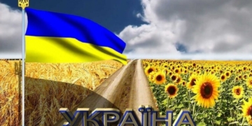 Три коледжі Тернополя тепер повинні…