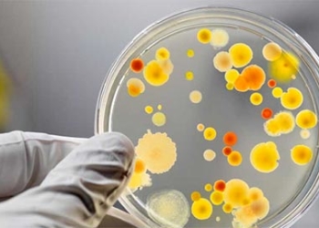 На Тернопільщині – спалах інфекції