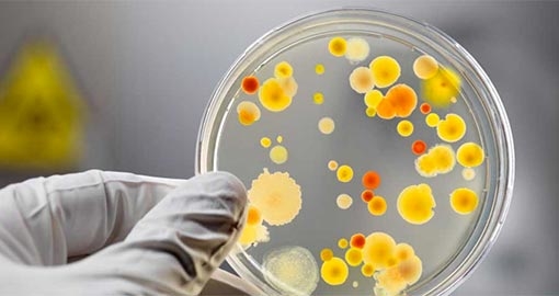 На Тернопільщині – спалах інфекції