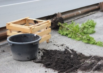 У Тернополі “попрацювали” вандали