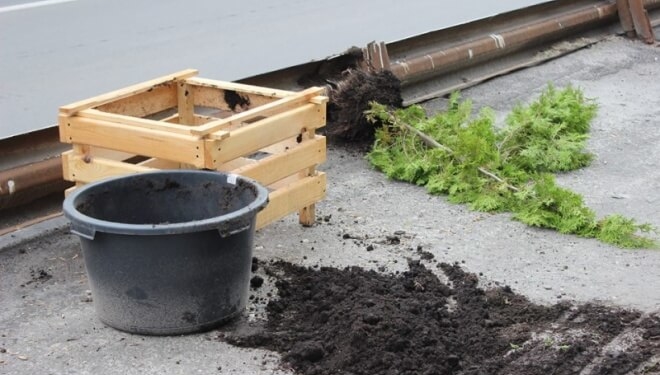 У Тернополі “попрацювали” вандали