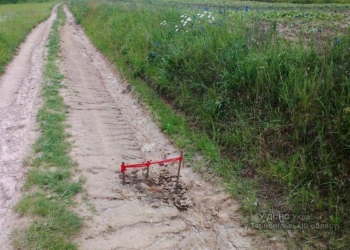 Посеред дороги на Тернопільщині знайшли вибухівку