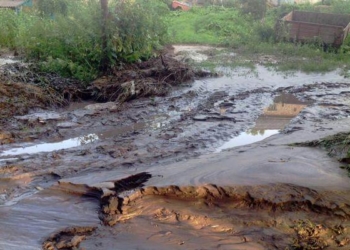 На Тернопільщині не на жарт “розгулялася” негода