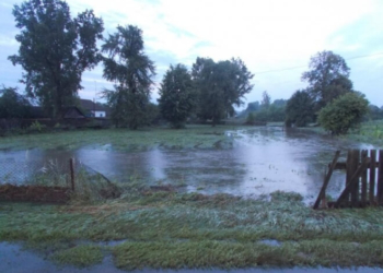 Сильний дощ наробив лиха у одному селі Тернопільщини