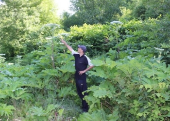 Тернополян попереджають про небезпеку та радять бути пильними