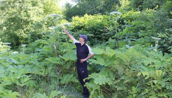 Тернополян попереджають про небезпеку та радять бути пильними