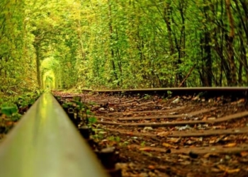 Про храм любові від жительки Тернопільщини