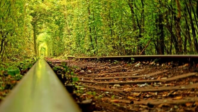 Про храм любові від жительки Тернопільщини