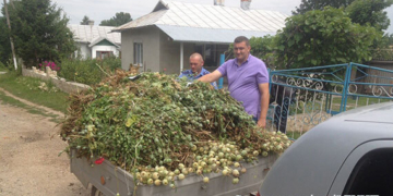 За якими жителями Тернопільщини “полюють” і наркомани, і поліцейські