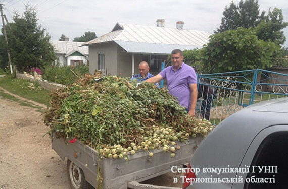 За якими жителями Тернопільщини “полюють” і наркомани, і поліцейські