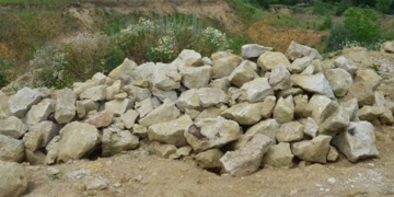 Тернопільські поліцейські їх затримали “на гарячому”