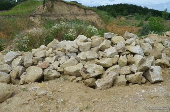 Тернопільські поліцейські їх затримали “на гарячому”