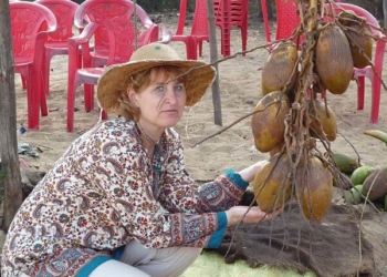 Булочка для Бога від Валентини Семеняк