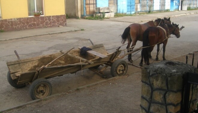 Страшна смерть: на Тернопільщині кінь волочив чоловіка по землі