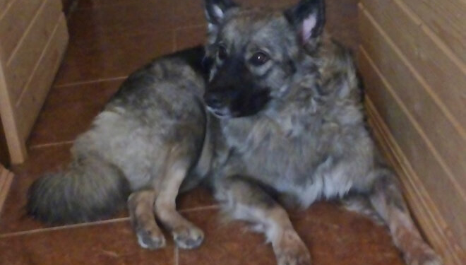 Волонтер з Тернополя, у руках якого вибухнула пляшка, вдома і потребує реабілітації