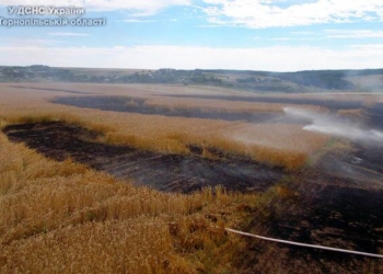 На Тернопільщині згорів цілий гектар пшениці