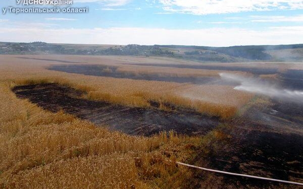 На Тернопільщині згорів цілий гектар пшениці