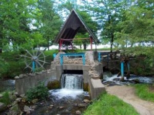 На самотню дівчину напали бандити у нічному тернопільскому парку