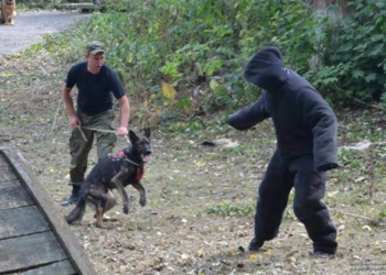 Поліцейські собаки на Тернопільщині показали на що здатні (фото)