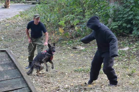 Поліцейські собаки на Тернопільщині показали на що здатні (фото)