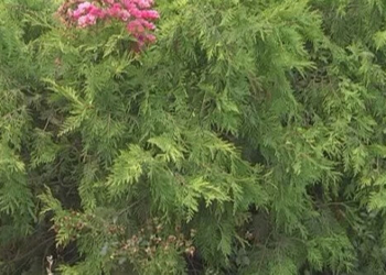 У Тернополі знайшли рішення для ще одного дуже спірного питання