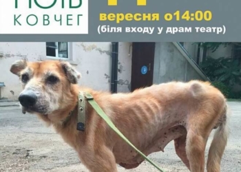 Тернополяни, маєте старі речі? Ось куди їх можна віддати